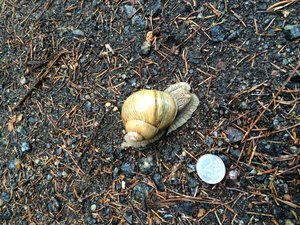 image.jpg (1961 просмотр) <a class='original' href='./download/file.php?id=50930&mode=view' target=_blank>Загрузить оригинал (3.37 МБ)</a>