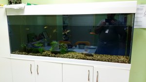 20150524_222857.jpg (3182 просмотра) <a class='original' href='./download/file.php?id=50940&mode=view' target=_blank>Загрузить оригинал (3.59 МБ)</a>