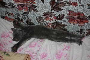 tmp_2612----317193086.jpg (1911 просмотров) <a class='original' href='./download/file.php?id=51040&mode=view' target=_blank>Загрузить оригинал (75.08 КБ)</a>