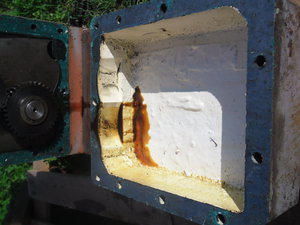 SAM_0566.JPG (3015 просмотров) <a class='original' href='./download/file.php?id=51308&mode=view' target=_blank>Загрузить оригинал (2.75 МБ)</a>