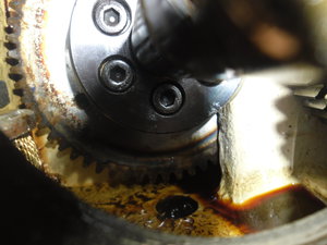 SAM_0571.JPG (2972 просмотра) <a class='original' href='./download/file.php?id=51312&mode=view' target=_blank>Загрузить оригинал (2.59 МБ)</a>