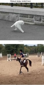 image.jpg (2189 просмотров) <a class='original' href='./download/file.php?id=51453&mode=view' target=_blank>Загрузить оригинал (78.57 КБ)</a>