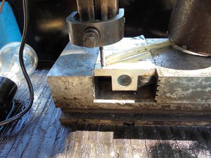 DSC03148 (Копировать).JPG (7108 просмотров) <a class='original' href='./download/file.php?id=51535&mode=view' target=_blank>Загрузить оригинал (421.56 КБ)</a>