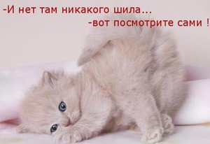 net-shila.jpg (4390 просмотров) <a class='original' href='./download/file.php?id=51913&mode=view' target=_blank>Загрузить оригинал (38.29 КБ)</a>