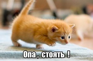 opa-stoyat-kitten.jpg (4390 просмотров) <a class='original' href='./download/file.php?id=51914&mode=view' target=_blank>Загрузить оригинал (35.79 КБ)</a>