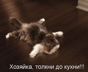 tolkni-mem.jpg (4390 просмотров) <a class='original' href='./download/file.php?id=51916&mode=view' target=_blank>Загрузить оригинал (37.42 КБ)</a>