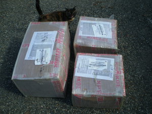 P1010701.JPG (3002 просмотра) <a class='original' href='./download/file.php?id=52177&mode=view' target=_blank>Загрузить оригинал (1.67 МБ)</a>