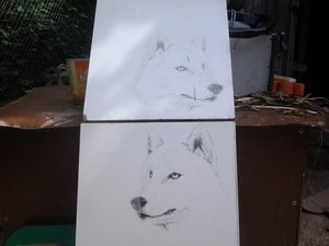 IMG_20150618_150504.jpg (3012 просмотров) <a class='original' href='./download/file.php?id=52591&mode=view' target=_blank>Загрузить оригинал (524.54 КБ)</a>