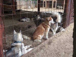 DSC_4081.jpg (1845 просмотров) <a class='original' href='./download/file.php?id=53581&mode=view' target=_blank>Загрузить оригинал (3.67 МБ)</a>