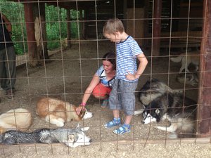 DSC_4085.jpg (1845 просмотров) <a class='original' href='./download/file.php?id=53582&mode=view' target=_blank>Загрузить оригинал (4.12 МБ)</a>