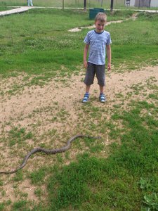 DSC_4089.jpg (1845 просмотров) <a class='original' href='./download/file.php?id=53583&mode=view' target=_blank>Загрузить оригинал (4.21 МБ)</a>