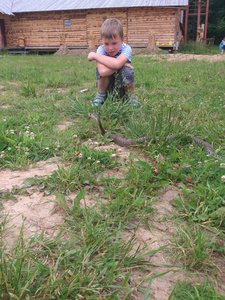 DSC_4093.jpg (1845 просмотров) <a class='original' href='./download/file.php?id=53584&mode=view' target=_blank>Загрузить оригинал (3.75 МБ)</a>