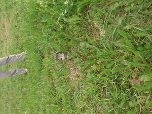 DSC_4096.jpg (1845 просмотров) <a class='original' href='./download/file.php?id=53586&mode=view' target=_blank>Загрузить оригинал (3.82 МБ)</a>