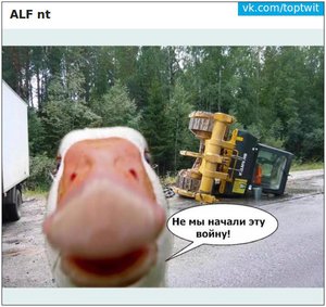 h_1439716674_3942497_00747a20be.jpg (1458 просмотров) <a class='original' href='./download/file.php?id=56075&mode=view' target=_blank>Загрузить оригинал (82.43 КБ)</a>