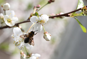 001.jpg (3105 просмотров) <a class='original' href='./download/file.php?id=56127&mode=view' target=_blank>Загрузить оригинал (282.08 КБ)</a>