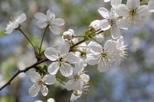 003.jpg (3105 просмотров) <a class='original' href='./download/file.php?id=56129&mode=view' target=_blank>Загрузить оригинал (272.89 КБ)</a>