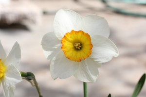 004.jpg (3105 просмотров) <a class='original' href='./download/file.php?id=56130&mode=view' target=_blank>Загрузить оригинал (217.98 КБ)</a>