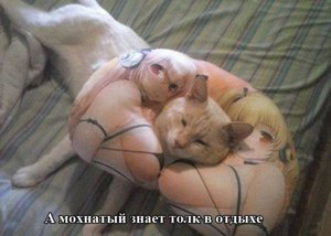 big.jpeg (1443 просмотра) <a class='original' href='./download/file.php?id=56267&mode=view' target=_blank>Загрузить оригинал (41.44 КБ)</a>