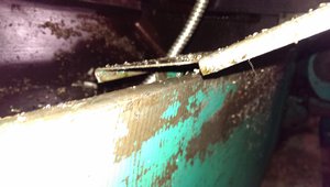 IMAG5167.jpg (7342 просмотра) <a class='original' href='./download/file.php?id=56285&mode=view' target=_blank>Загрузить оригинал (748.23 КБ)</a>