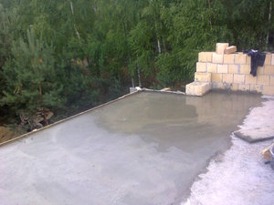 Фото3075.jpg (5508 просмотров) <a class='original' href='./download/file.php?id=56572&mode=view' target=_blank>Загрузить оригинал (138.18 КБ)</a>