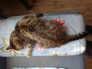 16032012056.jpg (4446 просмотров) <a class='original' href='./download/file.php?id=56592&mode=view' target=_blank>Загрузить оригинал (1.22 МБ)</a>