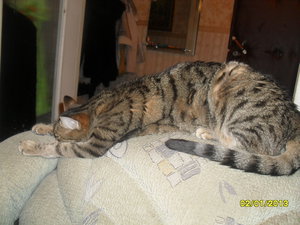 16032012057.JPG (4446 просмотров) <a class='original' href='./download/file.php?id=56593&mode=view' target=_blank>Загрузить оригинал (718.04 КБ)</a>