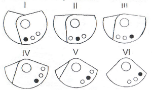 x.png (3267 просмотров) <a class='original' href='./download/file.php?id=56892&mode=view' target=_blank>Загрузить оригинал (220.26 КБ)</a>