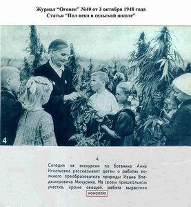 48___.jpg (1526 просмотров) <a class='original' href='./download/file.php?id=57009&mode=view' target=_blank>Загрузить оригинал (53.18 КБ)</a>