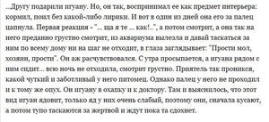 r-gB3oaZB9E.jpg (2068 просмотров) <a class='original' href='./download/file.php?id=57490&mode=view' target=_blank>Загрузить оригинал (61.88 КБ)</a>