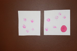 IMG_7485.JPG (3512 просмотров) <a class='original' href='./download/file.php?id=57918&mode=view' target=_blank>Загрузить оригинал (4.72 МБ)</a>