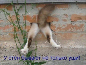 Screenshot - 18.09.2015 , 17_48_40.png (1834 просмотра) <a class='original' href='./download/file.php?id=58269&mode=view' target=_blank>Загрузить оригинал (383.15 КБ)</a>