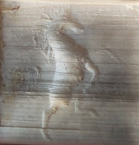 лошадь.jpg (6547 просмотров) <a class='original' href='./download/file.php?id=58620&mode=view' target=_blank>Загрузить оригинал (357.09 КБ)</a>