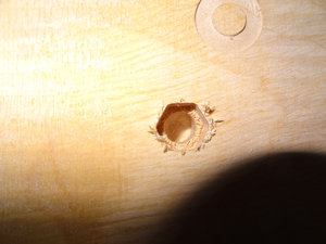 DSC00391.JPG (3570 просмотров) <a class='original' href='./download/file.php?id=59039&mode=view' target=_blank>Загрузить оригинал (3.28 МБ)</a>