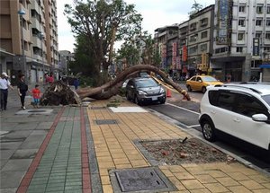 Z111.jpg (2413 просмотров) <a class='original' href='./download/file.php?id=59238&mode=view' target=_blank>Загрузить оригинал (57.27 КБ)</a>