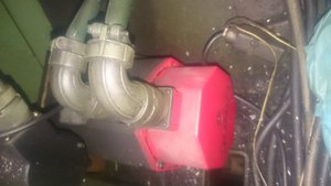 DSC_0620[1].JPG (3374 просмотра) <a class='original' href='./download/file.php?id=59349&mode=view' target=_blank>Загрузить оригинал (2.6 МБ)</a>