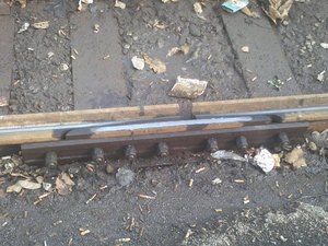 876333w.jpg (3541 просмотр) <a class='original' href='./download/file.php?id=59710&mode=view' target=_blank>Загрузить оригинал (293.87 КБ)</a>