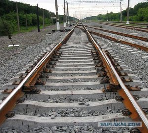 2219720.jpg (3541 просмотр) <a class='original' href='./download/file.php?id=59712&mode=view' target=_blank>Загрузить оригинал (96.07 КБ)</a>