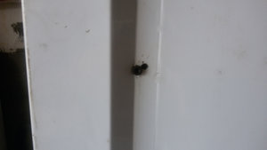 оп...мимо немного левей надо... (3402 просмотра) <a class='original' href='./download/file.php?id=59792&mode=view' target=_blank>Загрузить оригинал (153.72 КБ)</a>