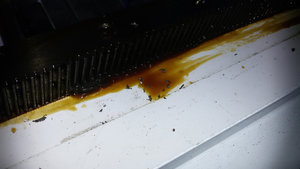 стружка прилагается к станку. (3402 просмотра) <a class='original' href='./download/file.php?id=59799&mode=view' target=_blank>Загрузить оригинал (215.51 КБ)</a>