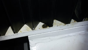 а то сильно тихо передвигаться будет))) (3402 просмотра) <a class='original' href='./download/file.php?id=59801&mode=view' target=_blank>Загрузить оригинал (176.27 КБ)</a>