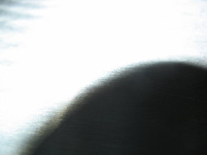 IMG_1442.JPG (9338 просмотров) <a class='original' href='./download/file.php?id=60104&mode=view' target=_blank>Загрузить оригинал (727.41 КБ)</a>