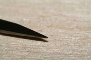 IMG_1902.JPG (3270 просмотров) <a class='original' href='./download/file.php?id=6028&mode=view' target=_blank>Загрузить оригинал (99.6 КБ)</a>