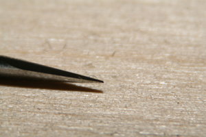 IMG_1908.JPG (3270 просмотров) <a class='original' href='./download/file.php?id=6034&mode=view' target=_blank>Загрузить оригинал (102.97 КБ)</a>