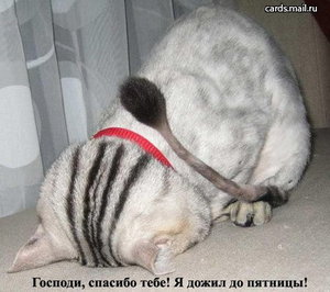 41pyatnnisa.jpg (1731 просмотр) <a class='original' href='./download/file.php?id=60950&mode=view' target=_blank>Загрузить оригинал (42.28 КБ)</a>