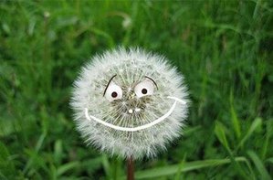 image (4)4.jpg (1742 просмотра) <a class='original' href='./download/file.php?id=61087&mode=view' target=_blank>Загрузить оригинал (38.34 КБ)</a>