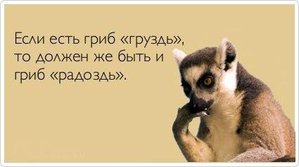 u6NjWIegaLs.jpg (1988 просмотров) <a class='original' href='./download/file.php?id=61436&mode=view' target=_blank>Загрузить оригинал (16.01 КБ)</a>