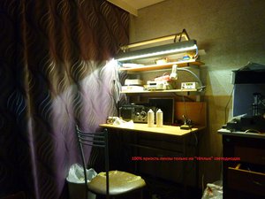 P1060852.JPG (5425 просмотров) <a class='original' href='./download/file.php?id=61572&mode=view' target=_blank>Загрузить оригинал (2.66 МБ)</a>