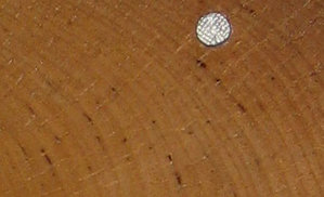 spil.jpg (10373 просмотра) <a class='original' href='./download/file.php?id=62257&mode=view' target=_blank>Загрузить оригинал (17.22 КБ)</a>