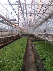 IMG_20151103_114213.jpg (4858 просмотров) <a class='original' href='./download/file.php?id=62660&mode=view' target=_blank>Загрузить оригинал (1.4 МБ)</a>