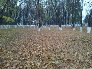 IMG_20151103_170516.jpg (2316 просмотров) <a class='original' href='./download/file.php?id=62661&mode=view' target=_blank>Загрузить оригинал (1.56 МБ)</a>